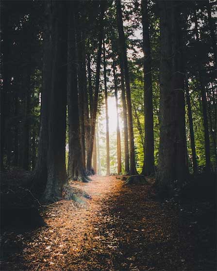 Bild Licht am Ende des Tunnels